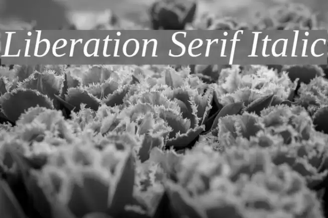 Liberation Serif Italic Fuentes examples