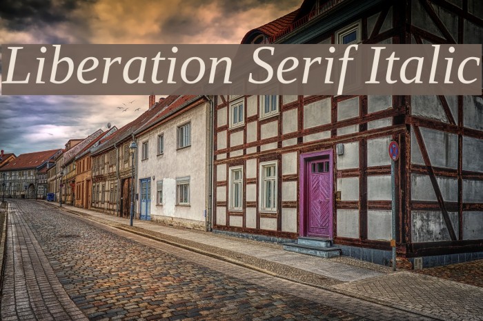 Liberation Serif Italic Font examples