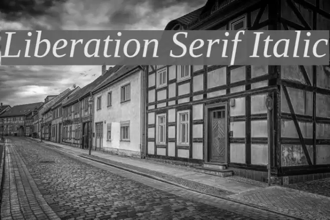 Liberation Serif Italic Fuentes examples