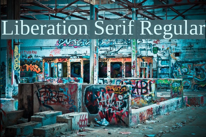 Liberation Serif Regular Font examples