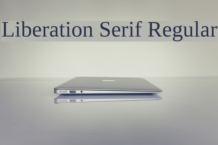 Liberation Serif Regular Font examples