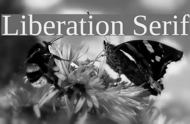 Liberation Serif Font examples