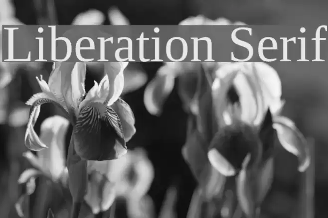 Liberation Serif Font examples