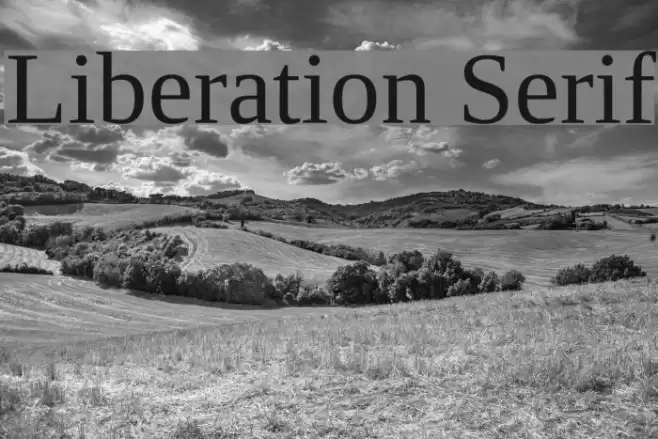 Liberation Serif Font examples