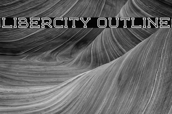 Libercity Outline Example 1