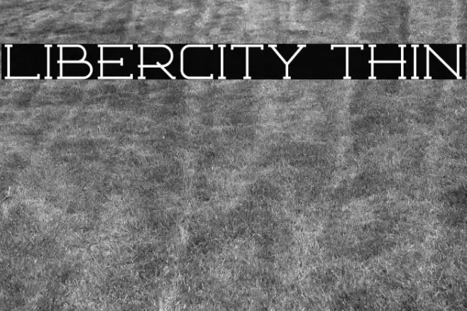 Libercity Thin Font examples