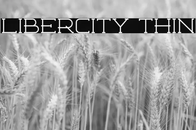 Libercity Thin Font examples