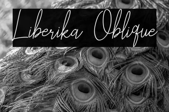 Liberika Oblique Font examples