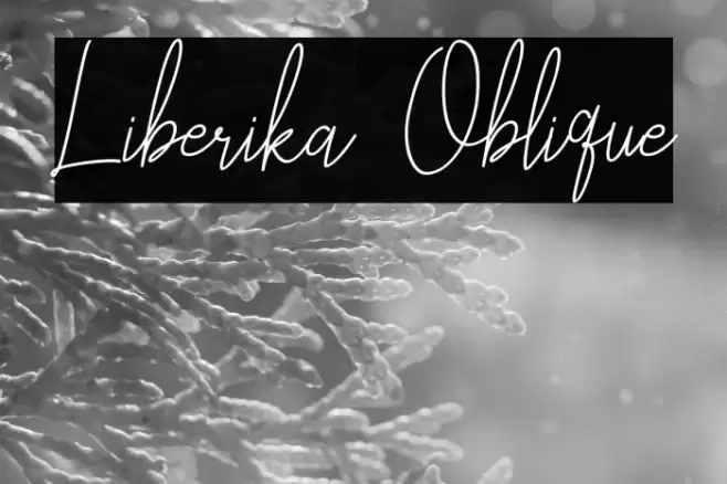 Liberika Oblique Font examples