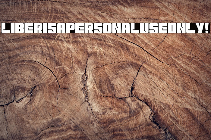 Liberisa PERSONAL USE ONLY! Example 2