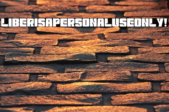 Liberisa PERSONAL USE ONLY! Example 3