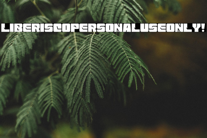 Liberisco PERSONAL USE ONLY! Example 1