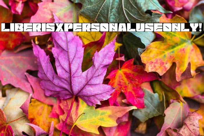 Liberisx PERSONAL USE ONLY! Example 1