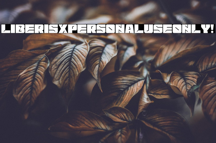 Liberisx PERSONAL USE ONLY! Example 2