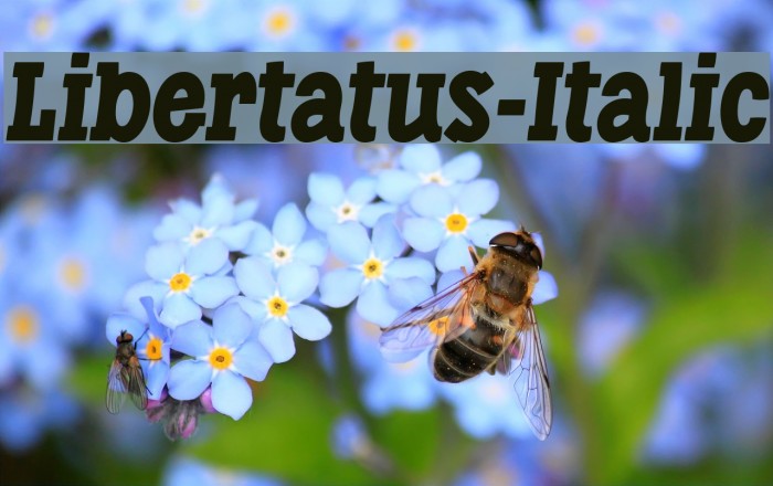 Libertatus-Italic Font examples