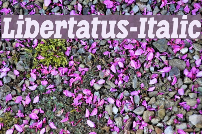 Libertatus-Italic Font examples