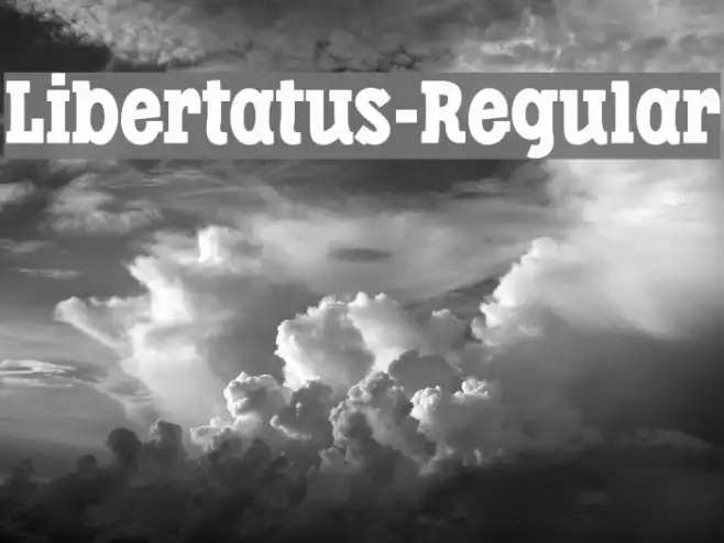 Libertatus-Regular Example 2