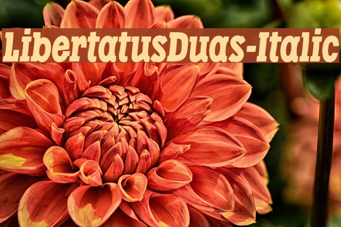 LibertatusDuas-Italic Font examples
