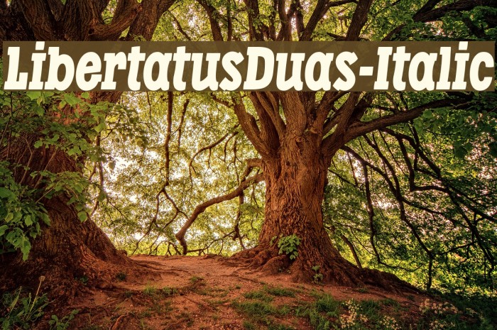 LibertatusDuas-Italic Font examples