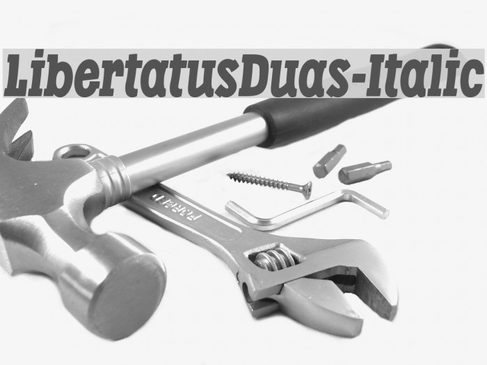 LibertatusDuas-Italic Font examples