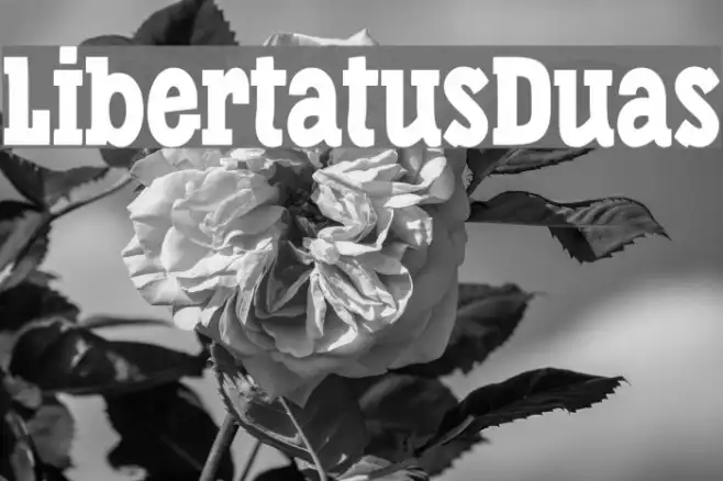 LibertatusDuas Example 1
