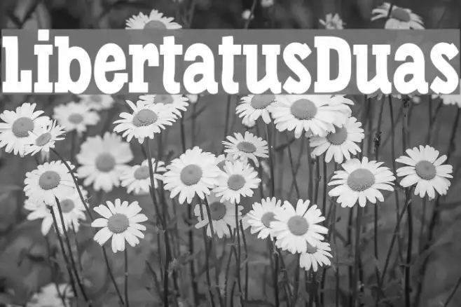 LibertatusDuas Example 2