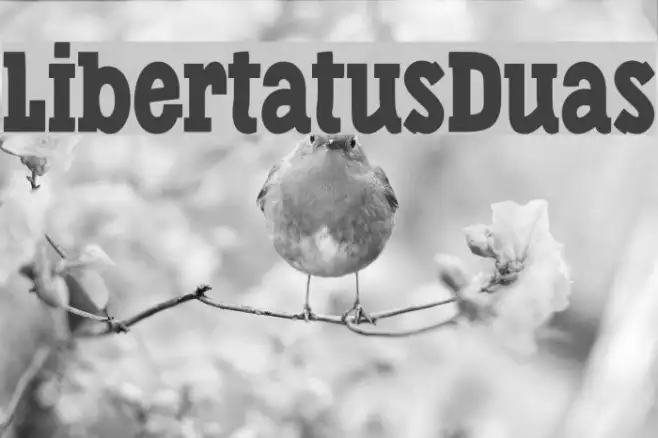 LibertatusDuas Example 3