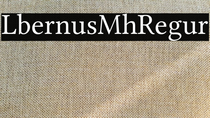 Libertinus Math Regular Example 1