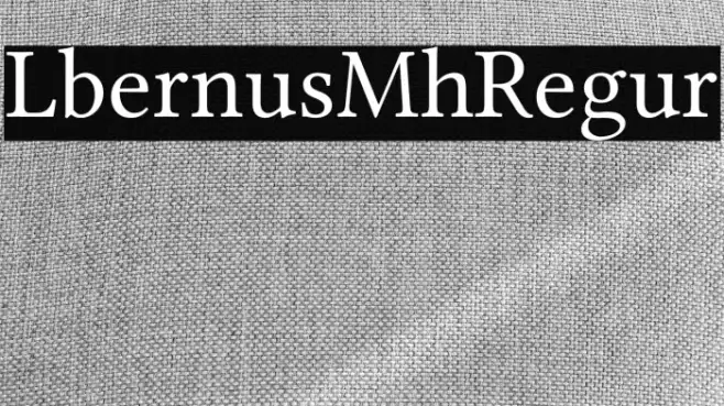 Libertinus Math Regular Example 1