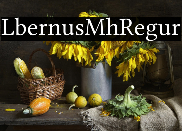 Libertinus Math Regular Example 2