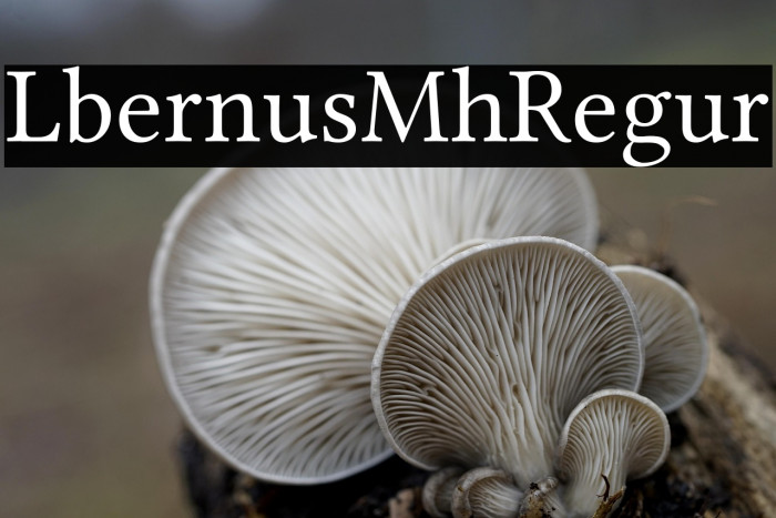 Libertinus Math Regular Example 3