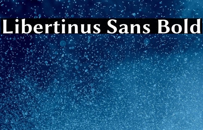 Libertinus Sans Bold Example 1