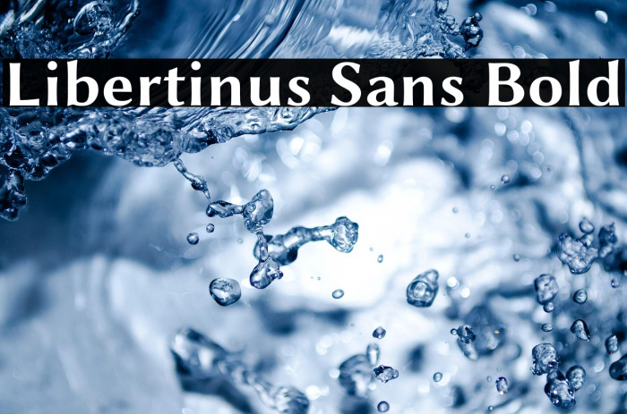 Libertinus Sans Bold Example 2
