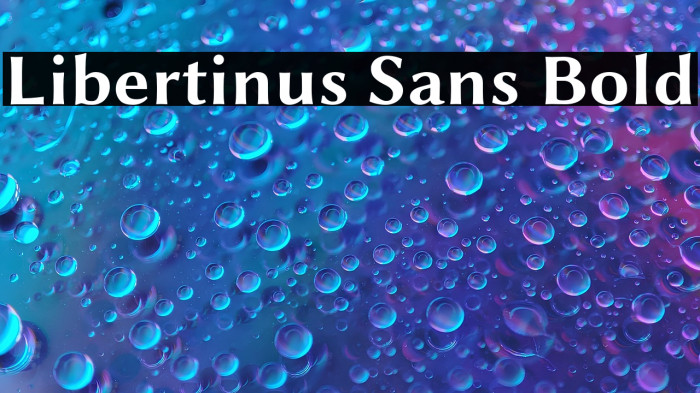 Libertinus Sans Bold Example 3