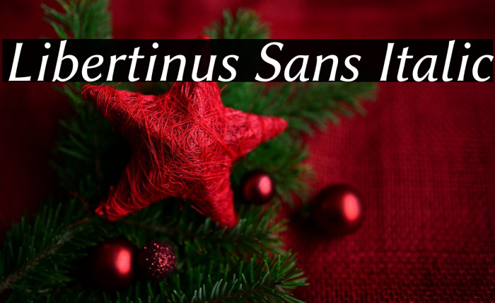 Libertinus Sans Italic Example 1