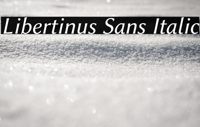 Libertinus Sans Italic Example 2