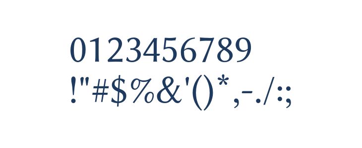 Libertinus Sans Other Characters