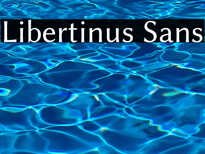 Libertinus Sans Example 1