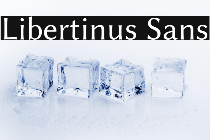 Libertinus Sans Example 2