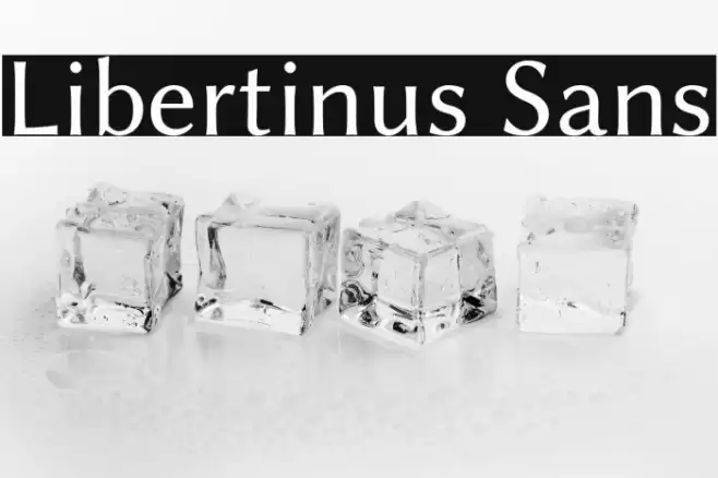 Libertinus Sans Font examples