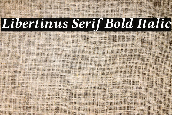 Libertinus Serif Bold Italic Example 1