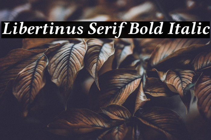 Libertinus Serif Bold Italic Example 2