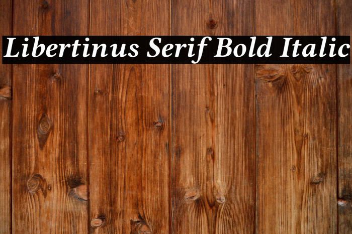 Libertinus Serif Bold Italic Example 3