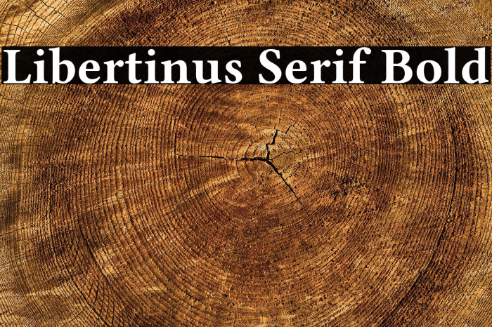 Libertinus Serif Bold Example 1