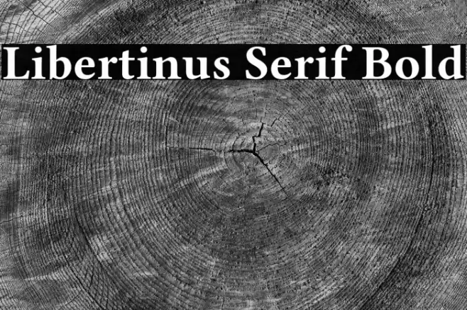 Libertinus Serif Bold Font examples