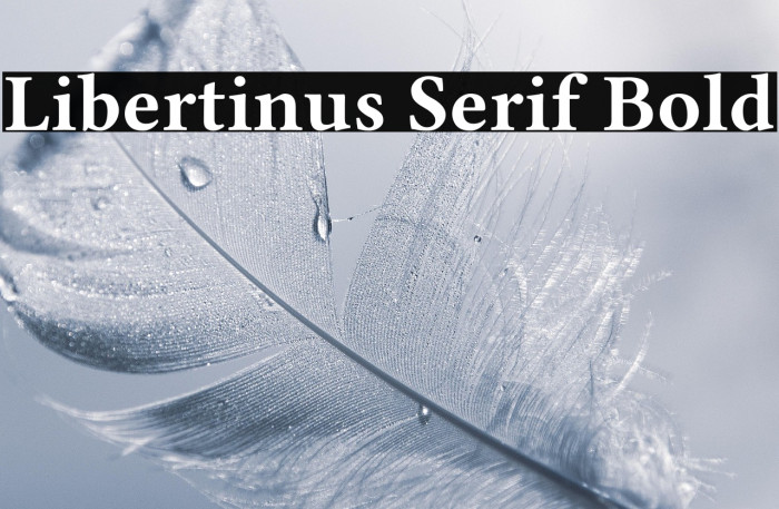 Libertinus Serif Bold Example 2