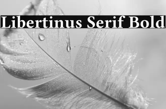 Libertinus Serif Bold Font examples
