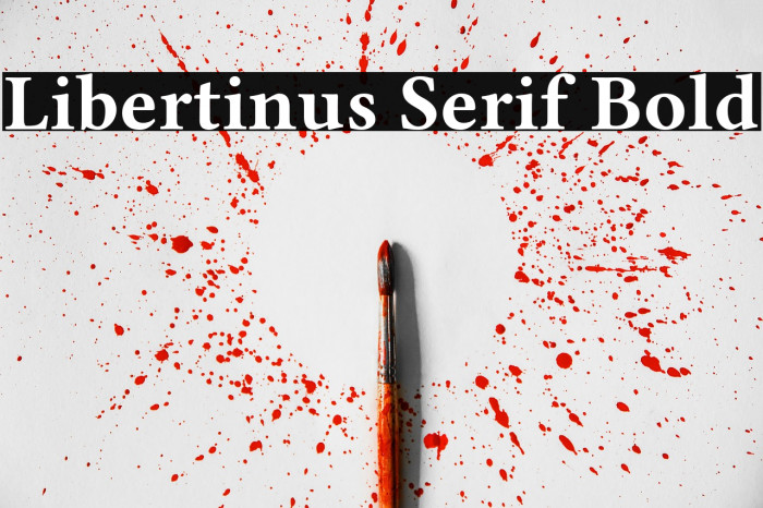 Libertinus Serif Bold Example 3