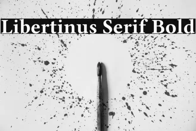 Libertinus Serif Bold Font examples