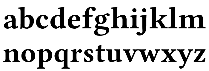 Libertinus Serif Bold Font LOWERCASE